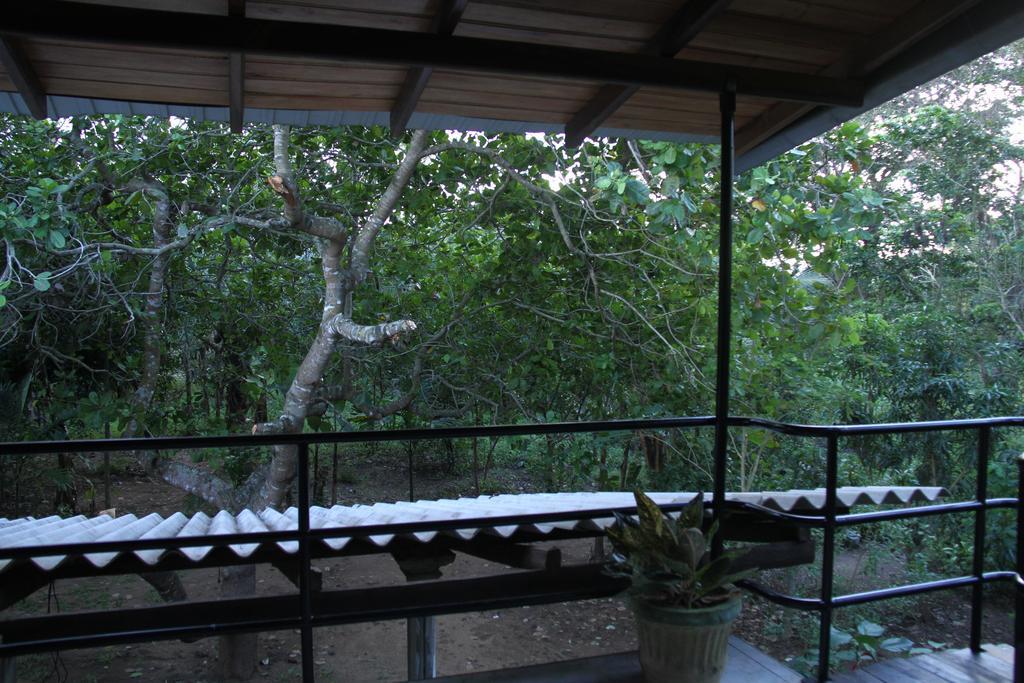 Llt Tourist Inn And Safari Jeep Wilpattu Exterior photo